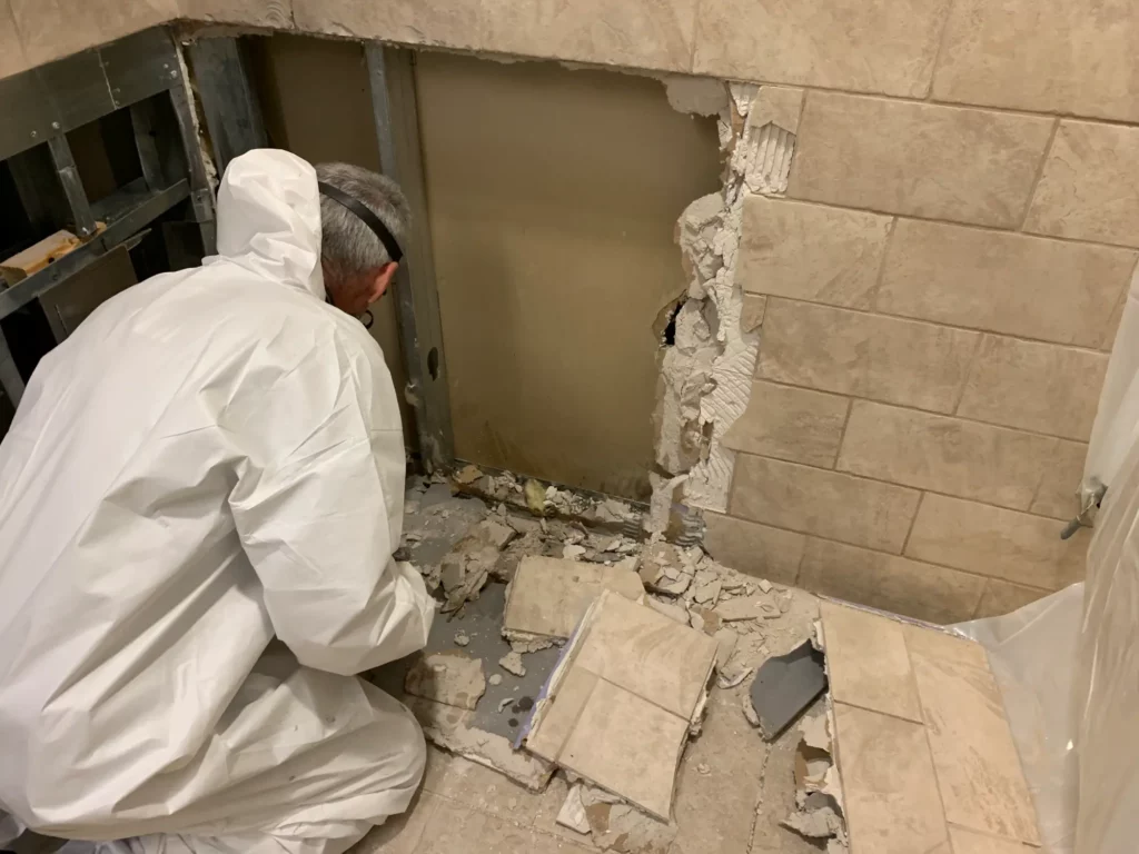 Mold Removal chester county pa, mold inspection, mold testing in chester county pa, west chester basement waterproofing with building materials, mold remediation chester county and other services in chester county pa