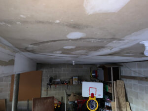 Mold infested basement, mold removal, mold testing, environmental services, mold remediation removal, fire damage, water intrusion, high quality services, water damage, detrimental effects, damage restoration