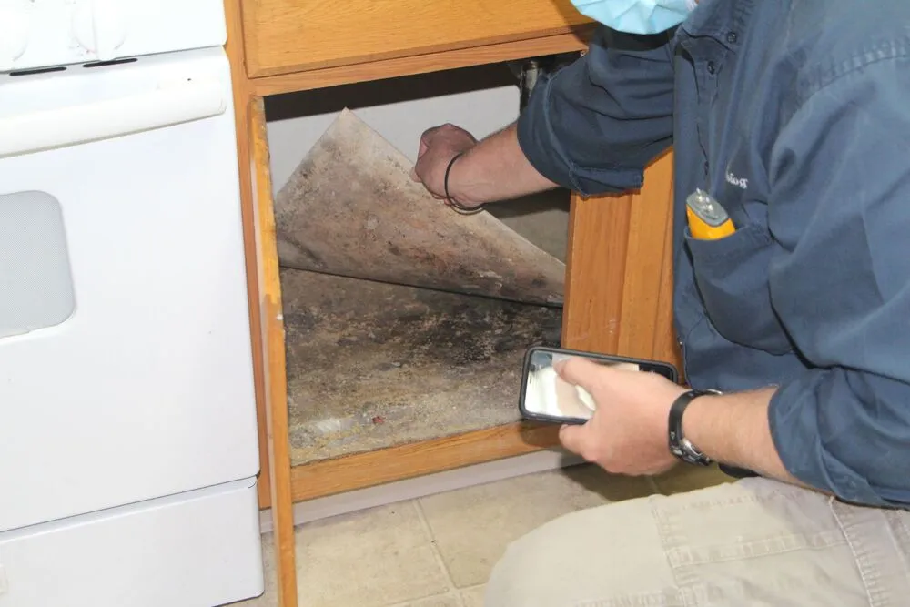 Certified mold removal company in Chester County, Pennsylvania 