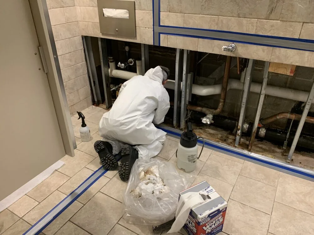 Commercial_mold_remediation