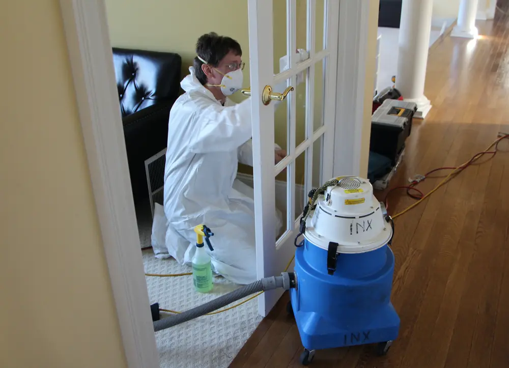 mold inspection west chester, mold testing west chester, mold remediation, mold remediation chester county, mold removal chester county