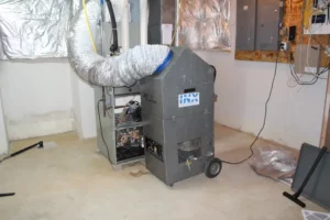 mold inspection west chester, mold testing west chester, mold remediation, mold remediation chester county, mold removal chester county, chester county pa