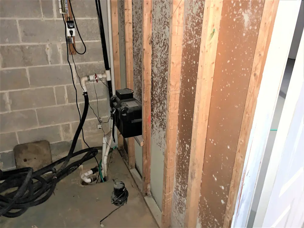 mold inspection west chester, mold testing west chester, mold remediation, mold remediation chester county, mold removal chester county, water damage, south pottstown, kennett square, south coatesville, services