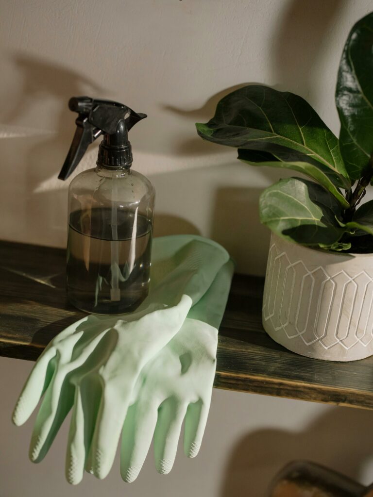 A spray bottle and gloves, required for many different eco-friendly mold remediation solutions, on top of a shelf next to a house plant