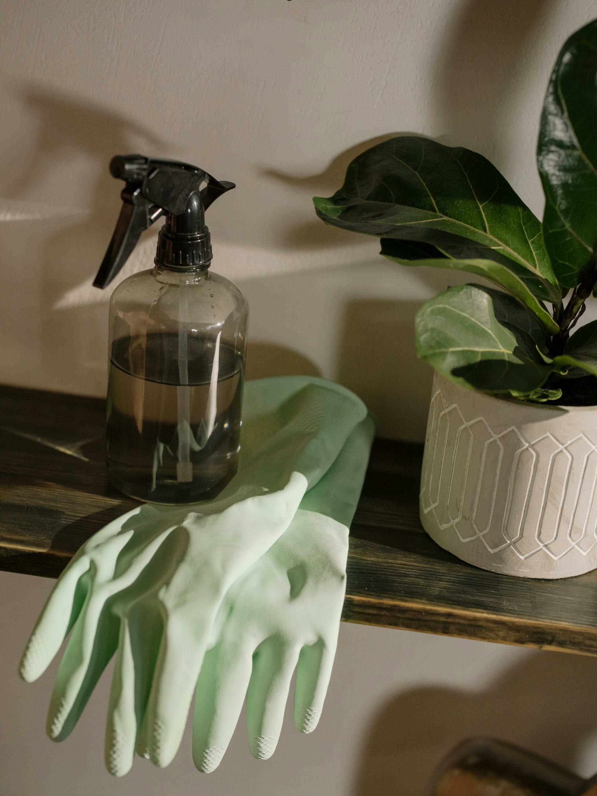 A spray bottle and gloves, required for many different eco-friendly mold remediation solutions, on top of a shelf next to a house plant