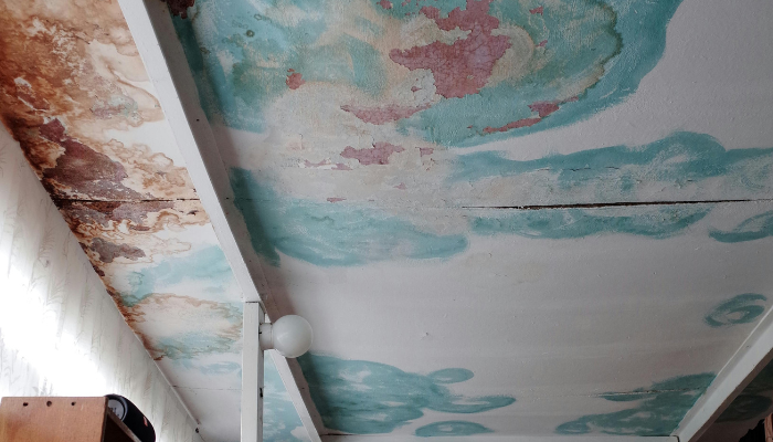 mold inspection avondale